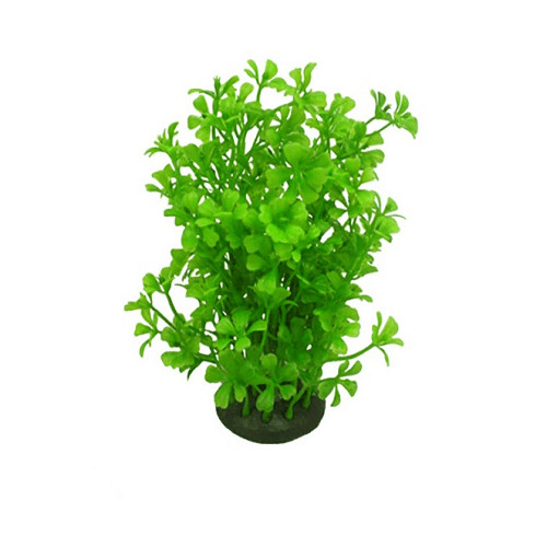 Akvarijné rastliny