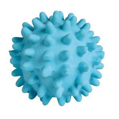 Lopty pre psov