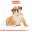 ROYAL CANIN Bulldog Puppy 3 kg granule pre šteňa buldoga