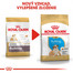 ROYAL CANIN Bulldog Puppy 12 kg granule pre šteňa buldoga