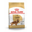 ROYAL CANIN Cocker adult 2 x 12 kg granule pre dospelého kokeršpaniela