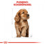 ROYAL CANIN Cocker Puppy 3 kg granule pre šteňa kokeršpaniela