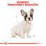 ROYAL CANIN French Bulldog Puppy 2 x 12 kg granule pre šteňa francúzskeho buldočka