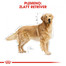 ROYAL CANIN Golden Retriever Adult 3kg granule pre dospelého zlatého retrievera