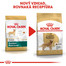 ROYAL CANIN Golden Retriever Adult 3kg granule pre dospelého zlatého retrievera