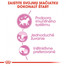 ROYAL CANIN Kitten Instinctive in Gravy 12 x 85g kapsičky pre mačiatka v šťave