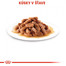 ROYAL CANIN Kitten Instinctive in Gravy 12 x 85g kapsičky pre mačiatka v šťave