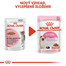 ROYAL CANIN Kitten Instinctive in Gravy 12 x 85g kapsičky pre mačiatka v šťave