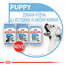 ROYAL CANIN Mini Puppy 12x85g