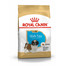 ROYAL CANIN Shih tzu 500g granule pre šteňa shih tzu