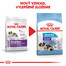 ROYAL CANIN Giant starter mother & babydog 1 kg