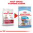 ROYAL CANIN Medium starter mother & babydog 1 kg granule pre brezivé alebo dojčiace suky a šteniatka.