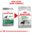 ROYAL CANIN Mini digestive care 1 kg granuly pre malé psy s citlivým trávením