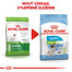 ROYAL CANIN X-Small Puppy 500g granule pre veľmi malé šteňatá