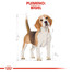 ROYAL CANIN Beagle adult 12 kg