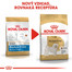 ROYAL CANIN Bichon Frise Adult 1,5 kg pre psov od 10 mesiacov pre plemeno Bichon Frise