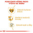 ROYAL CANIN Rottweiler 12 kg