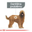 ROYAL CANIN Maxi Dental Care 3 kg