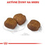 ROYAL CANIN Maxi Dental Care 9 kg