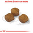 ROYAL CANIN Medium dental care 10 kg