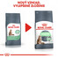 ROYAL CANIN Digestive Care 2 X 10 kg granule pre mačky na podporu zdravého trávenia