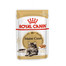 ROYAL CANIN Maine coon 12kg + kapsičky Mainecoon 12x85 g