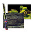 AQUA NOVA Obojstranné pozadie akvária S 60x30cm, skaly / rastliny