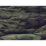 AQUA NOVA Obojstranné pozadie akvária S 60x30cm, skaly / rastliny