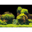 AQUA NOVA Obojstranné pozadie akvária XL 150x60cm, skaly / rastliny