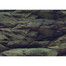 AQUA NOVA Obojstranné pozadie akvária XL 150x60cm, skaly / rastliny