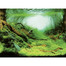 AQUA NOVA Obojstranné pozadie akvária L 100x50cm rastliny / oceán