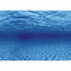 AQUA NOVA Obojstranné pozadie akvária L 100x50 cm, korene / voda