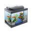 TETRA Starter Line LED 30 l Goldfish Zestaw Akwariowy dla Złotych Rybek