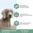 EUKANUBA Daily Care Granule pre dospelých psov s citlivými kĺbmi  2,3 kg
