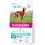 EUKANUBA Daily Care Adult Sensitive Digestion Granule pre psov s citlivým tráviacim traktom – kuracie mäso 2,3 kg
