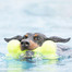 KONG Airdog Squeaker Bone S hryzátko pre psa