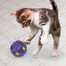 KONG Bat-A-Bout Flicker Disco Świecąca lopta z catnip pre mačky