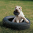 KONG Extreme Tyres S odolné hryzátko pre psa