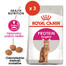 ROYAL CANIN Protein Exigent 3 x 4 kg granule pre maškrtné mačky