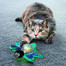 KONG Cat Bat-A-Bout Flicker Firefly świecąca hračka pre mačky