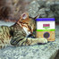 KONG Naturals Catnip catnip sušený pre mačky 56.7g