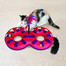 KONG Cat Active Eight Track hračka interaktívna pre mačky