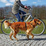 TRIXIE Vodítko na bicykel a jogingu 1,00-2,00m/25mm