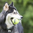 KONG SqueakAir Ball XL lopta tenisová pre psa