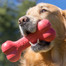 KONG Goodie Bone hračka pre psov gumová kosť L 21,5cm