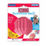 KONG Puppy Activity Ball M hryzátko pre šteniatka