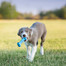 KONG Puppy Goodie Bone S hryzátko pre šteniatka na maškrty