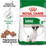 ROYAL CANIN Mini Adult 8+ 2kg x7 granuly pre dospelé starnúce psy
