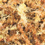 TRIXIE Podstielka rašeliníkový mach (sphagnum) 100 g