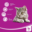 WHISKAS Krémová polievka s kuracím mäsom 85g x28